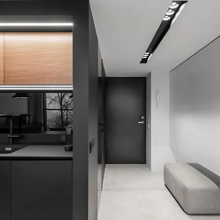 Industrial Loft Haus38 *