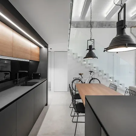 Industrial Loft Haus38 Apartment Kaunas