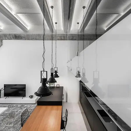 Apartment Industrial Loft Haus38